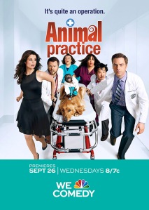 This poster doesn't exactly reassure me about the quality of this show.  And it also looks like a parody skit they would have on SNL